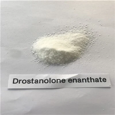 Bột thô có độ tinh khiết cao{0}}của Trung Quốc Drostanolone Enanthate